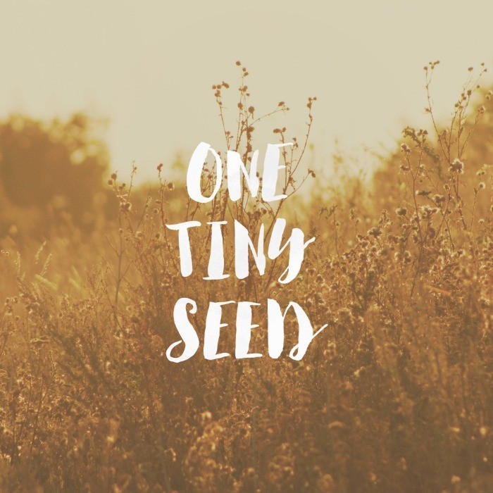 I Can Do All Things Through Christ cover